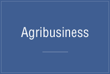 Agribusiness