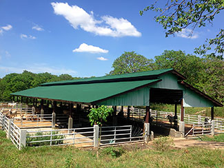 Planned site of dairy farm